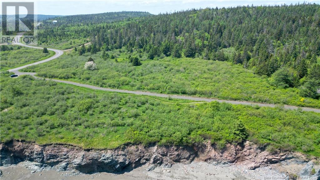 Red Point Road, Grand Manan Island, New Brunswick  E5G 4J3 - Photo 13 - NB120777
