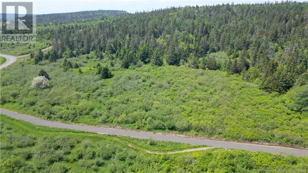 Red Point Road, Grand Manan Island, New Brunswick  E5G 4J3 - Photo 15 - NB120777