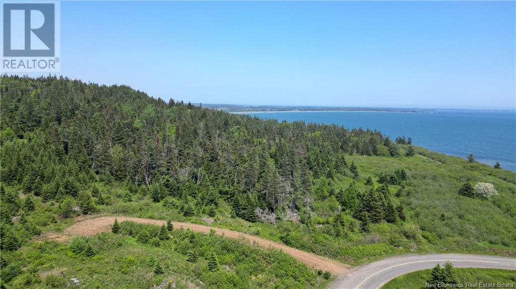 Red Point Road, Grand Manan Island, New Brunswick  E5G 4J3 - Photo 3 - NB120777