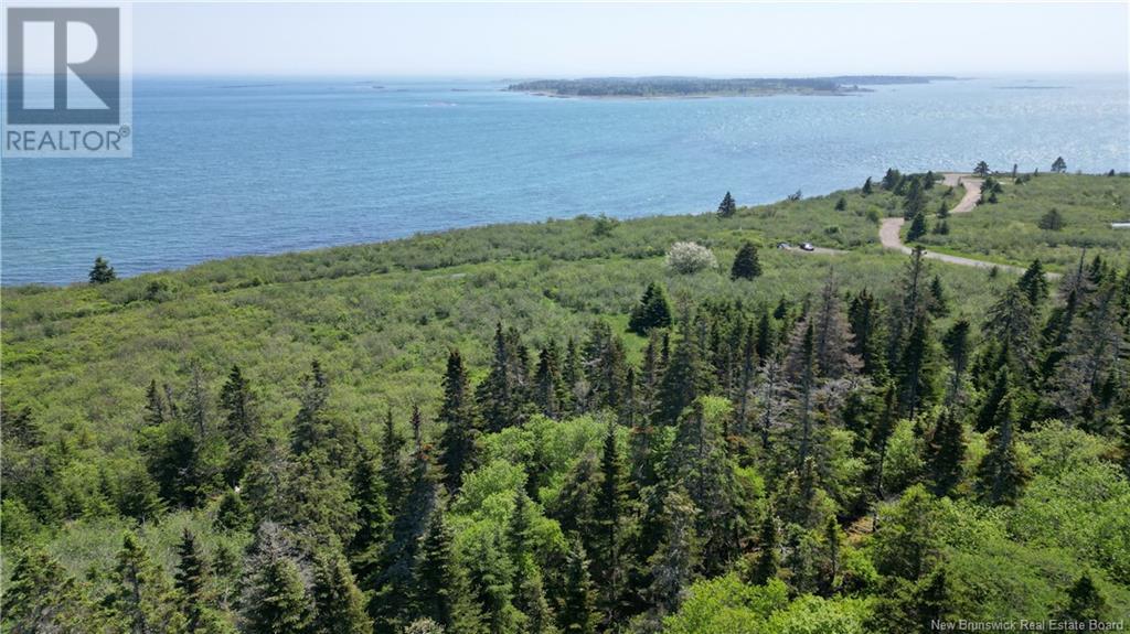 Red Point Road, Grand Manan Island, New Brunswick  E5G 4J3 - Photo 6 - NB120777