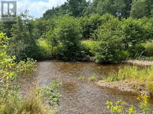 Lot 1 Adair Road, Penobsquis, New Brunswick  E4G 1Y3 - Photo 4 - NB120817