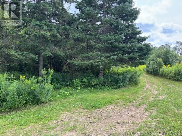 Lot 1 Adair Road, Penobsquis, New Brunswick  E4G 1Y3 - Photo 7 - NB120817