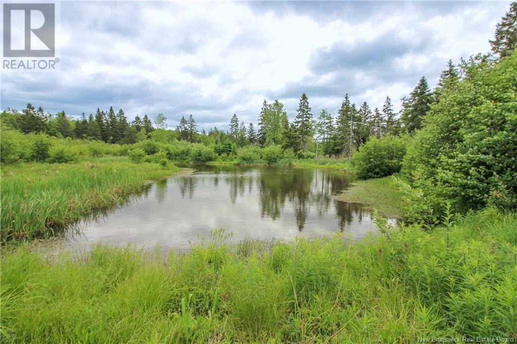 681 Rogers Road, Long Point, New Brunswick  E5N 7W1 - Photo 45 - NB120455