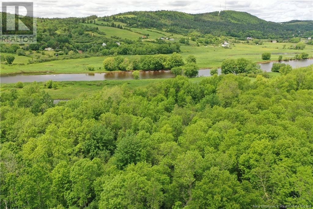 Lot 23-1 Odell Loop Road, Passekeag, New Brunswick  E5N 7L6 - Photo 12 - NB120677