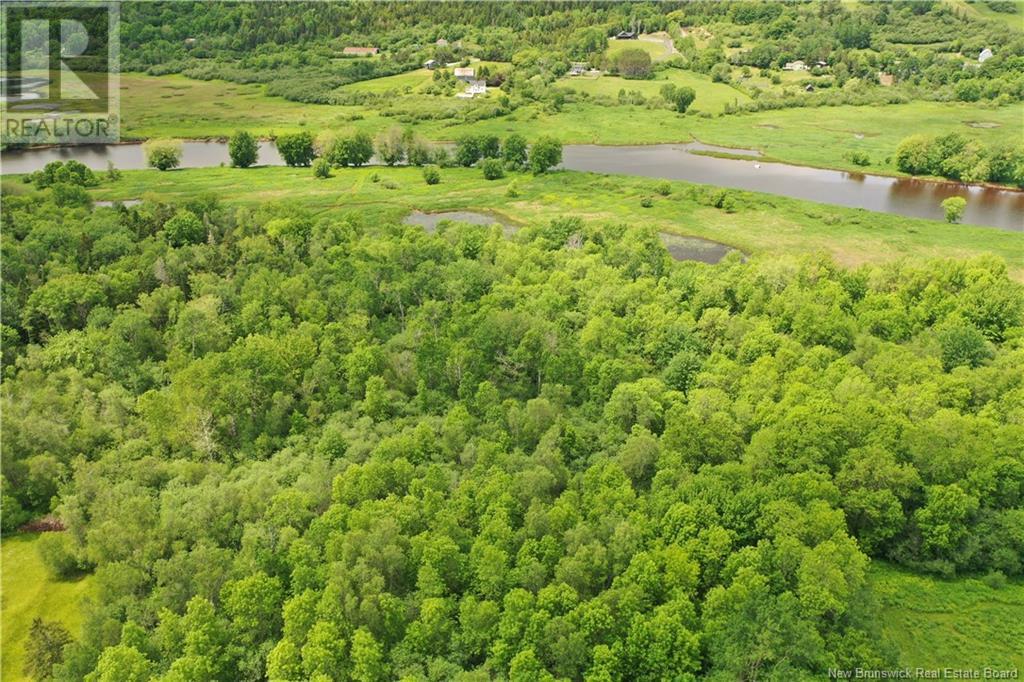 Lot 23-1 Odell Loop Road, Passekeag, New Brunswick  E5N 7L6 - Photo 17 - NB120677