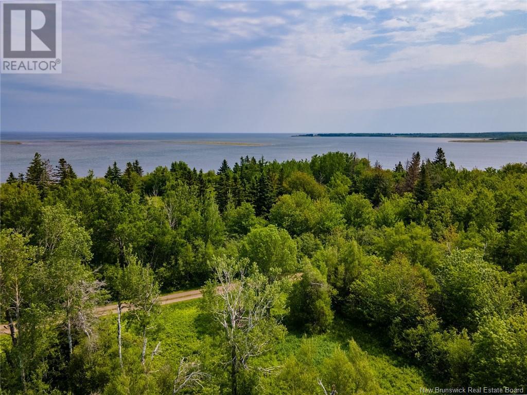 Lot- Ch Comeau, Shemogue, New Brunswick  E4N 2N2 - Photo 22 - NB120405