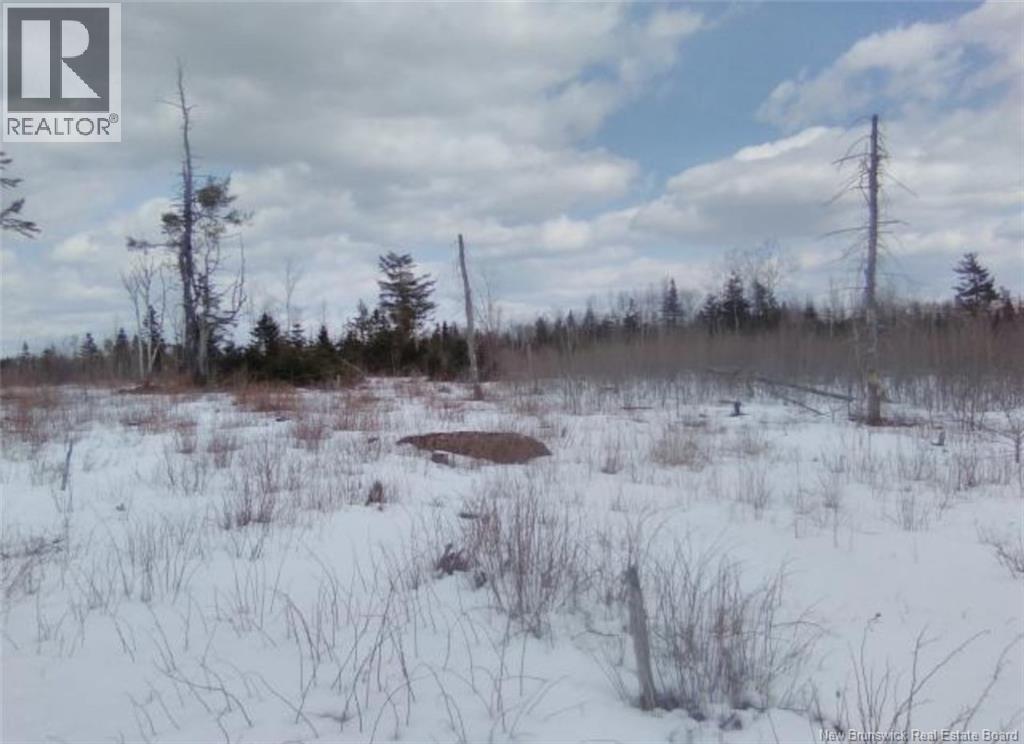 Poodiac Road, Poodiac, New Brunswick  E4E 4H5 - Photo 3 - NB120797