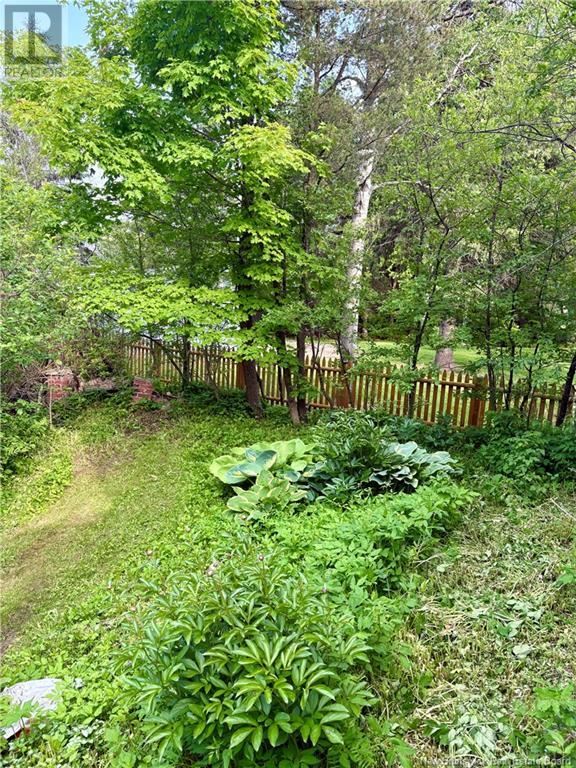 869 Victoria Street, Edmundston, New Brunswick  E3V 3T4 - Photo 13 - NB120851