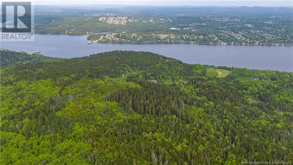 Hatfield Road, Clifton Royal, New Brunswick  E5S 2B1 - Photo 10 - NB120808