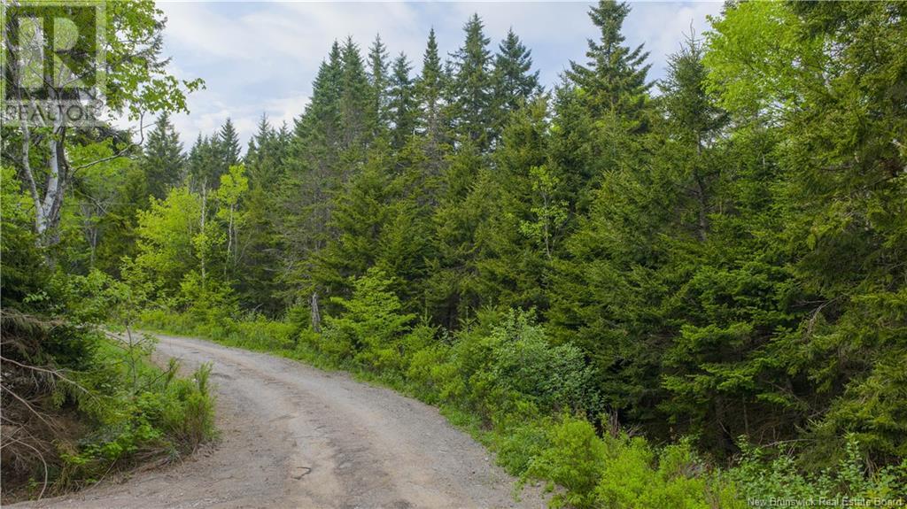 Hatfield Road, Clifton Royal, New Brunswick  E5S 2B1 - Photo 11 - NB120808