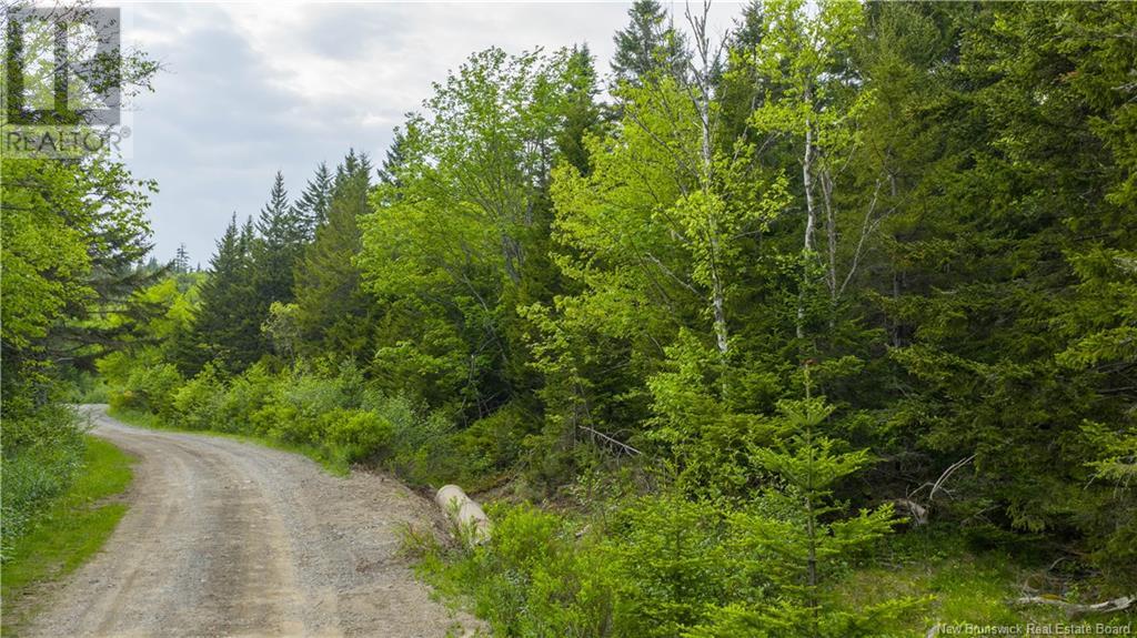 Hatfield Road, Clifton Royal, New Brunswick  E5S 2B1 - Photo 12 - NB120808