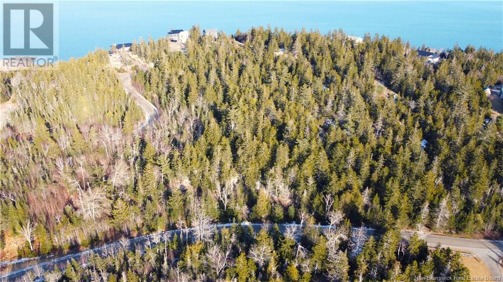 Kilmarnock Head Lot 29, Chamcook, New Brunswick  E5B 0A8 - Photo 11 - NB120702