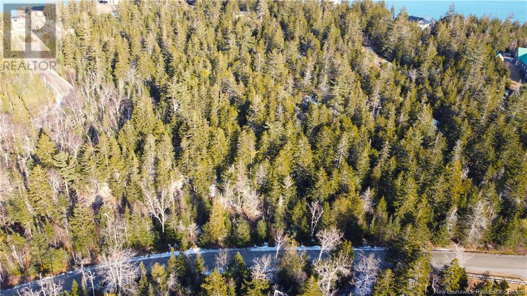Kilmarnock Head Lot 29, Chamcook, New Brunswick  E5B 0A8 - Photo 12 - NB120702