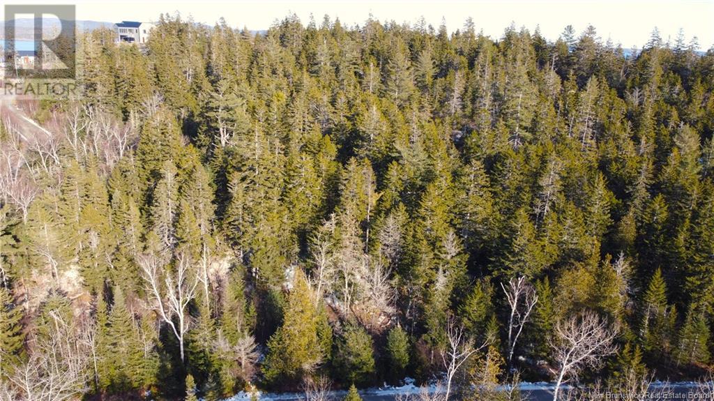 Kilmarnock Head Lot 29, Chamcook, New Brunswick  E5B 0A8 - Photo 13 - NB120702