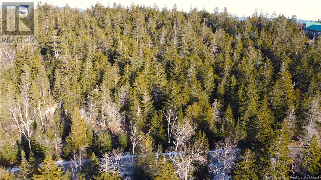 Kilmarnock Head Lot 29, Chamcook, New Brunswick  E5B 0A8 - Photo 14 - NB120702