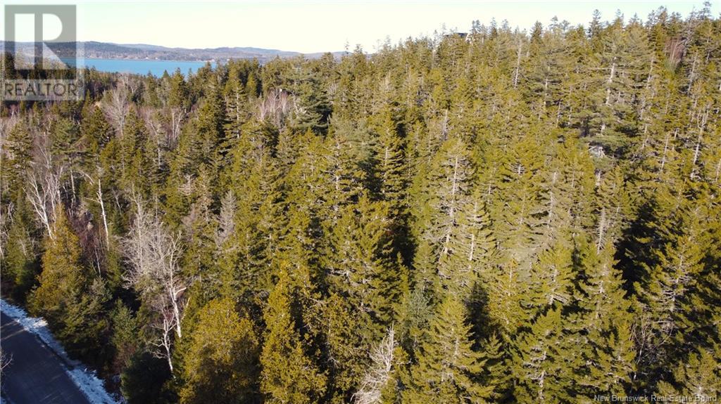 Kilmarnock Head Lot 29, Chamcook, New Brunswick  E5B 0A8 - Photo 15 - NB120702
