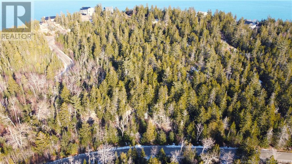 Kilmarnock Head Lot 29, Chamcook, New Brunswick  E5B 0A8 - Photo 2 - NB120702
