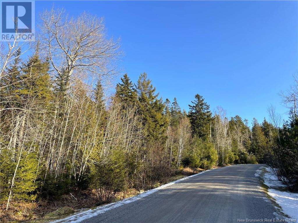 Kilmarnock Head Lot 29, Chamcook, New Brunswick  E5B 0A8 - Photo 4 - NB120702