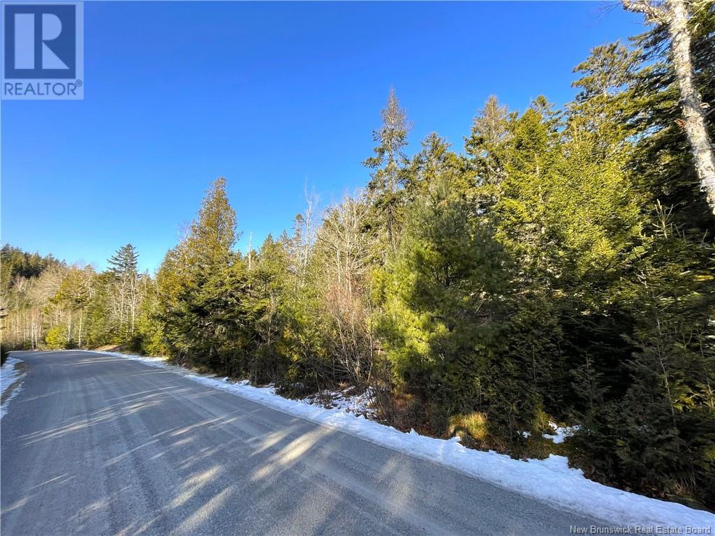 Kilmarnock Head Lot 29, Chamcook, New Brunswick  E5B 0A8 - Photo 5 - NB120702