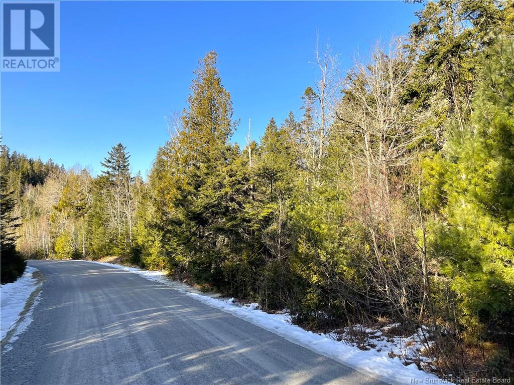 Kilmarnock Head Lot 29, Chamcook, New Brunswick  E5B 0A8 - Photo 6 - NB120702