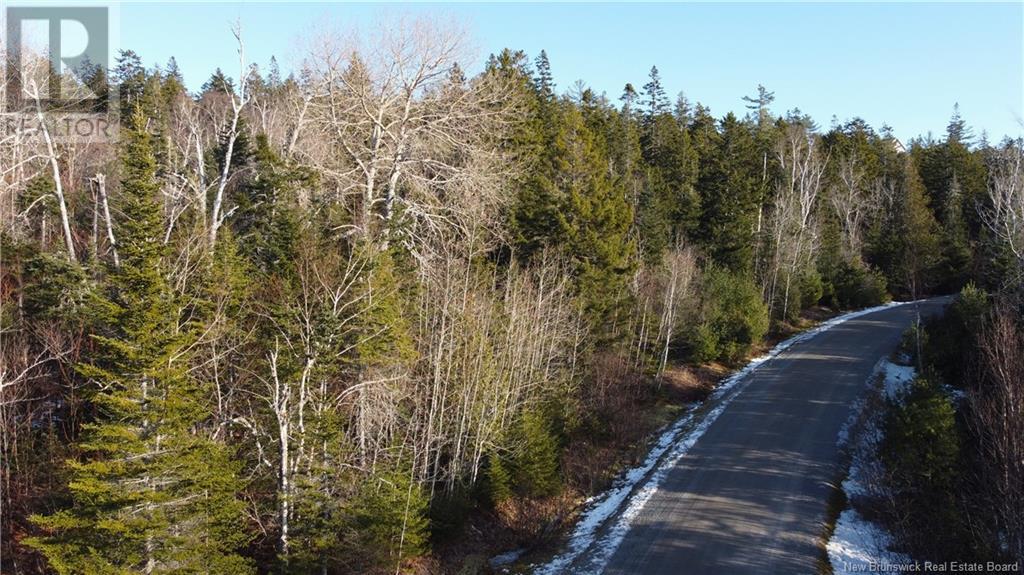 Kilmarnock Head Lot 29, Chamcook, New Brunswick  E5B 0A8 - Photo 7 - NB120702