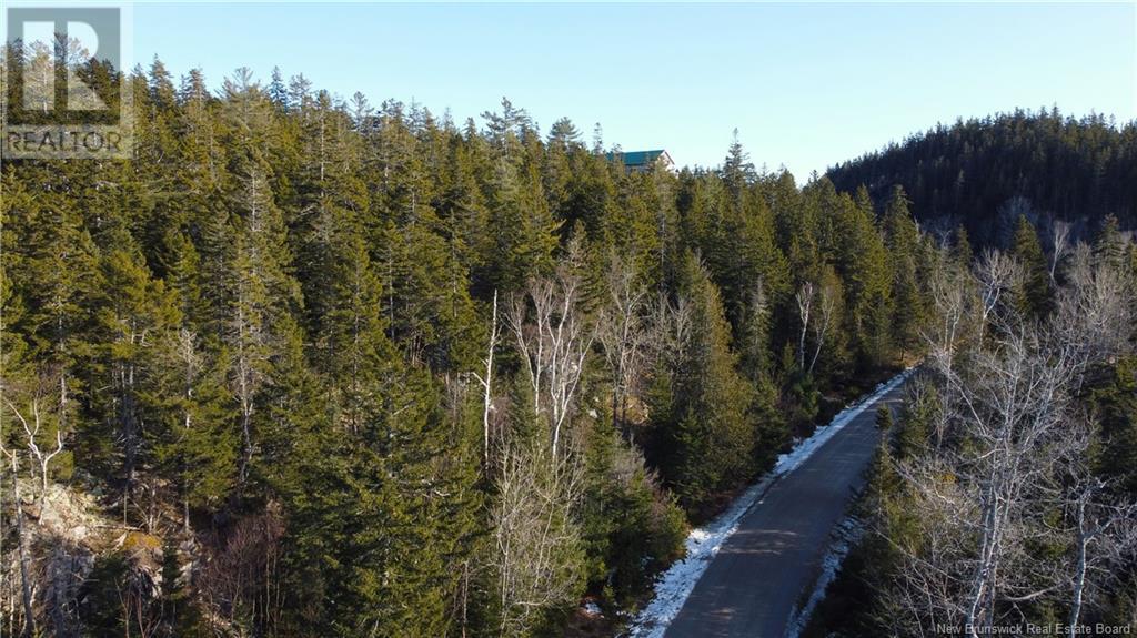 Kilmarnock Head Lot 29, Chamcook, New Brunswick  E5B 0A8 - Photo 8 - NB120702