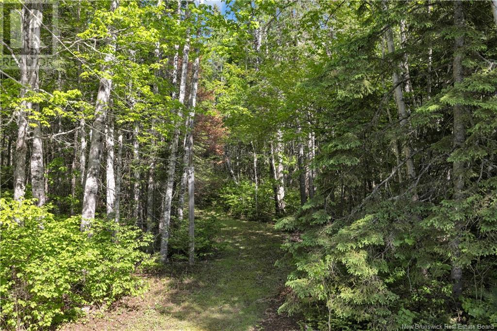 7415 Route 101, Wirral, New Brunswick  E5K 4E3 - Photo 36 - NB119307