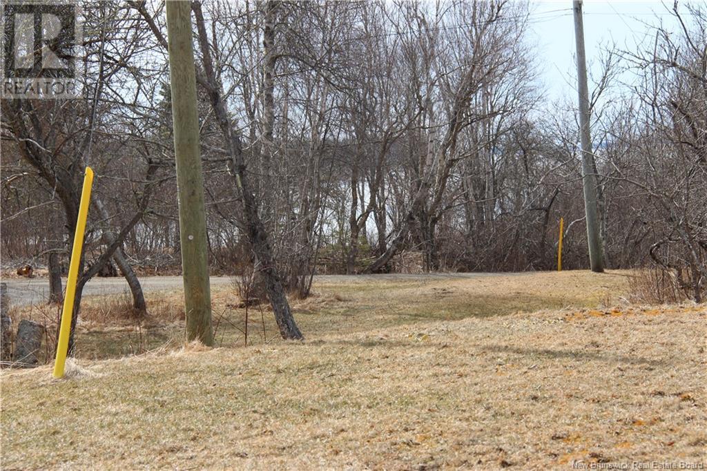 3584 127 Route Unit# 1, Bayside, New Brunswick  E5B 2V3 - Photo 11 - NB116006