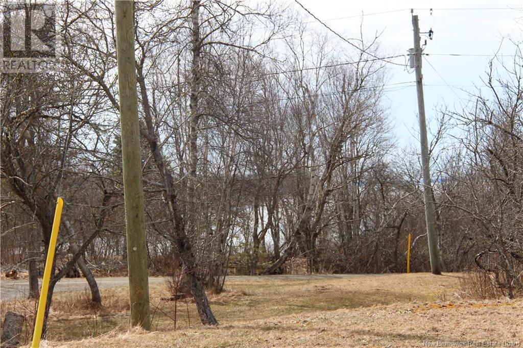 3584 127 Route Unit# 1, Bayside, New Brunswick  E5B 2V3 - Photo 20 - NB116006