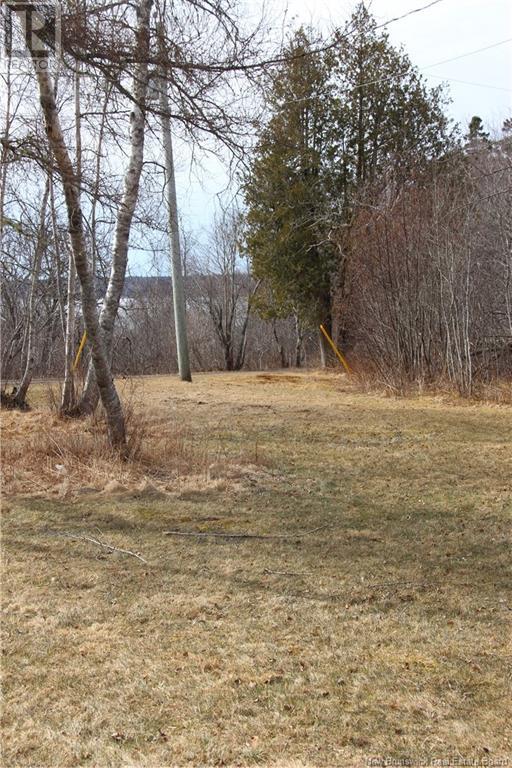 3584 127 Route Unit# 1, Bayside, New Brunswick  E5B 2V3 - Photo 8 - NB116006