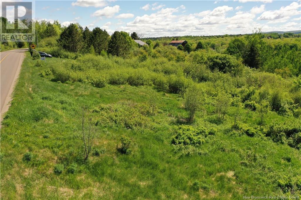 Lot Route 121, Bloomfield, New Brunswick  E5N 7T8 - Photo 10 - NB120876