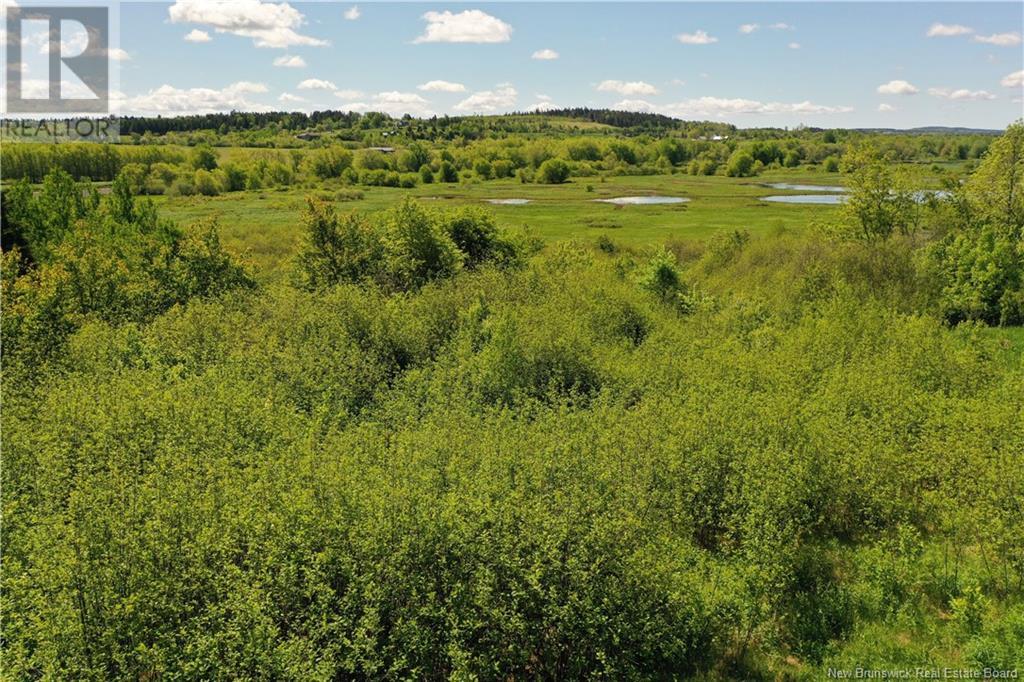 Lot Route 121, Bloomfield, New Brunswick  E5N 7T8 - Photo 11 - NB120876