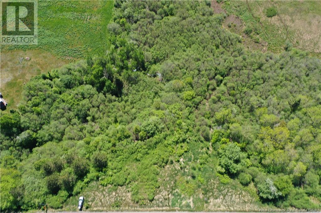 Lot Route 121, Bloomfield, New Brunswick  E5N 7T8 - Photo 7 - NB120876