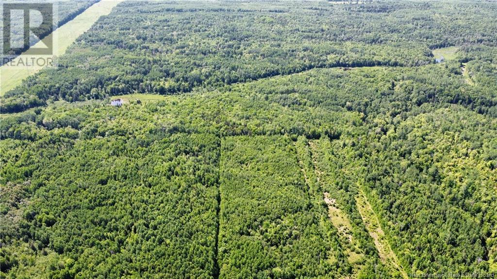 17 Allée Boily, Madran, New Brunswick  E8J 3H4 - Photo 30 - NB120886