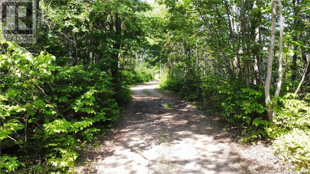 17 Allée Boily, Madran, New Brunswick  E8J 3H4 - Photo 34 - NB120886