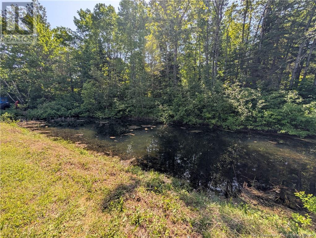 17 Allée Boily, Madran, New Brunswick  E8J 3H4 - Photo 36 - NB120886