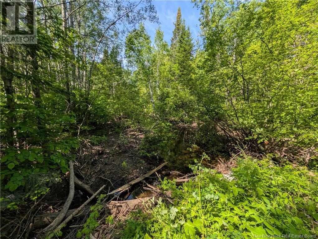 17 Allée Boily, Madran, New Brunswick  E8J 3H4 - Photo 40 - NB120886
