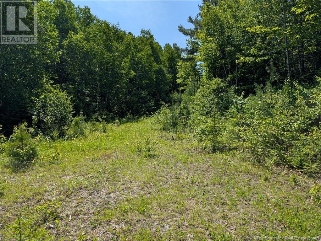 17 Allée Boily, Madran, New Brunswick  E8J 3H4 - Photo 42 - NB120886