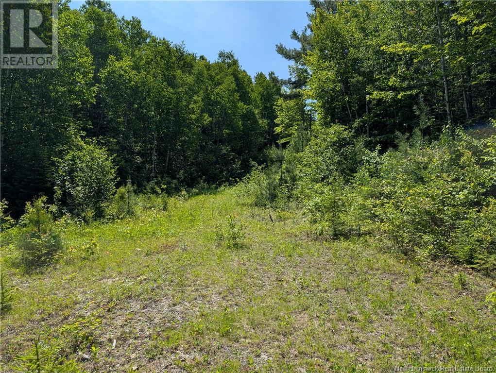17 Allée Boily, Madran, New Brunswick  E8J 3H4 - Photo 43 - NB120886