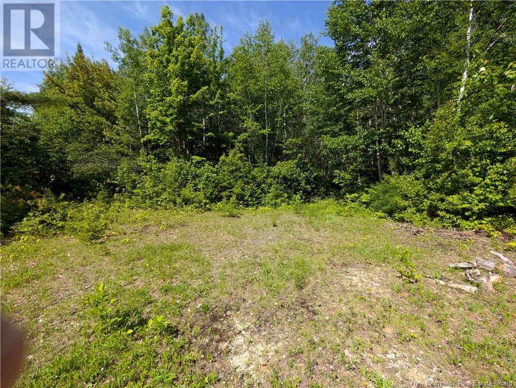 17 Allée Boily, Madran, New Brunswick  E8J 3H4 - Photo 44 - NB120886