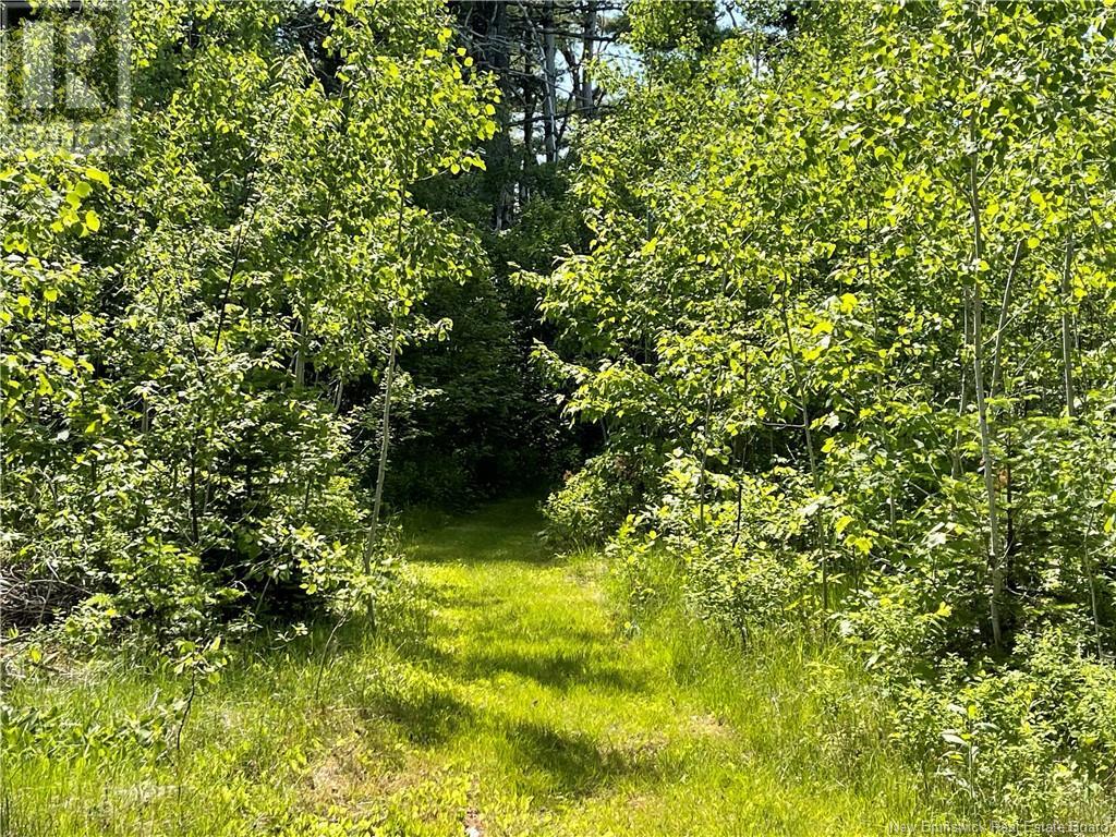 9386 11 Route, Saint Margarets, New Brunswick  E1N 5C5 - Photo 36 - NB120051