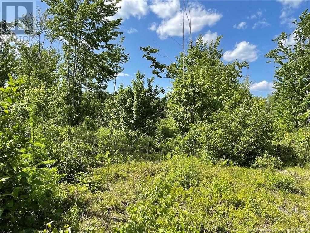 9386 11 Route, Saint Margarets, New Brunswick  E1N 5C5 - Photo 38 - NB120051