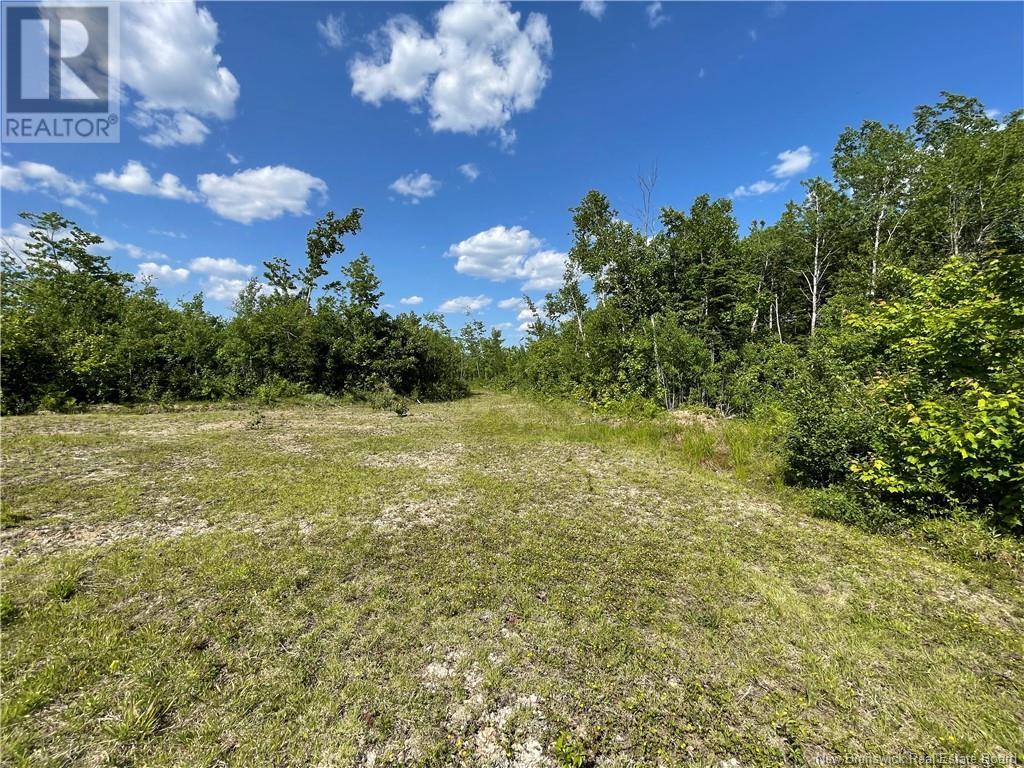 9386 11 Route, Saint Margarets, New Brunswick  E1N 5C5 - Photo 40 - NB120051