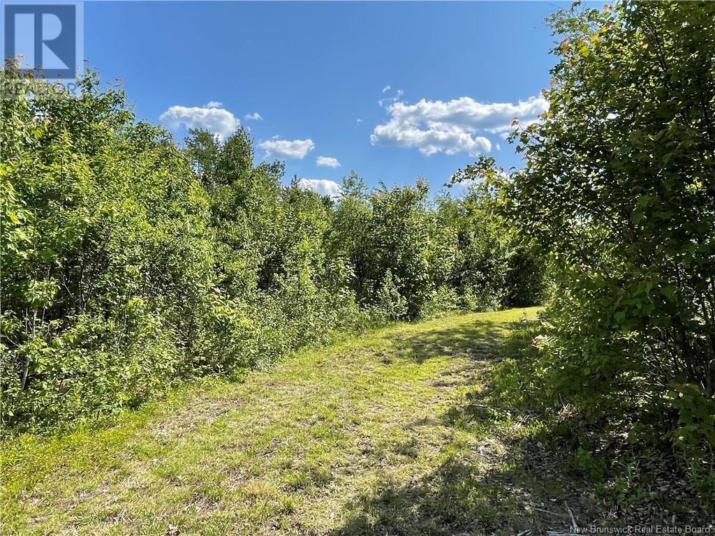 9386 11 Route, Saint Margarets, New Brunswick  E1N 5C5 - Photo 41 - NB120051