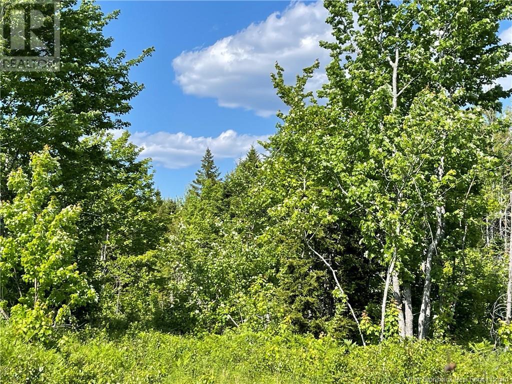9386 11 Route, Saint Margarets, New Brunswick  E1N 5C5 - Photo 43 - NB120051