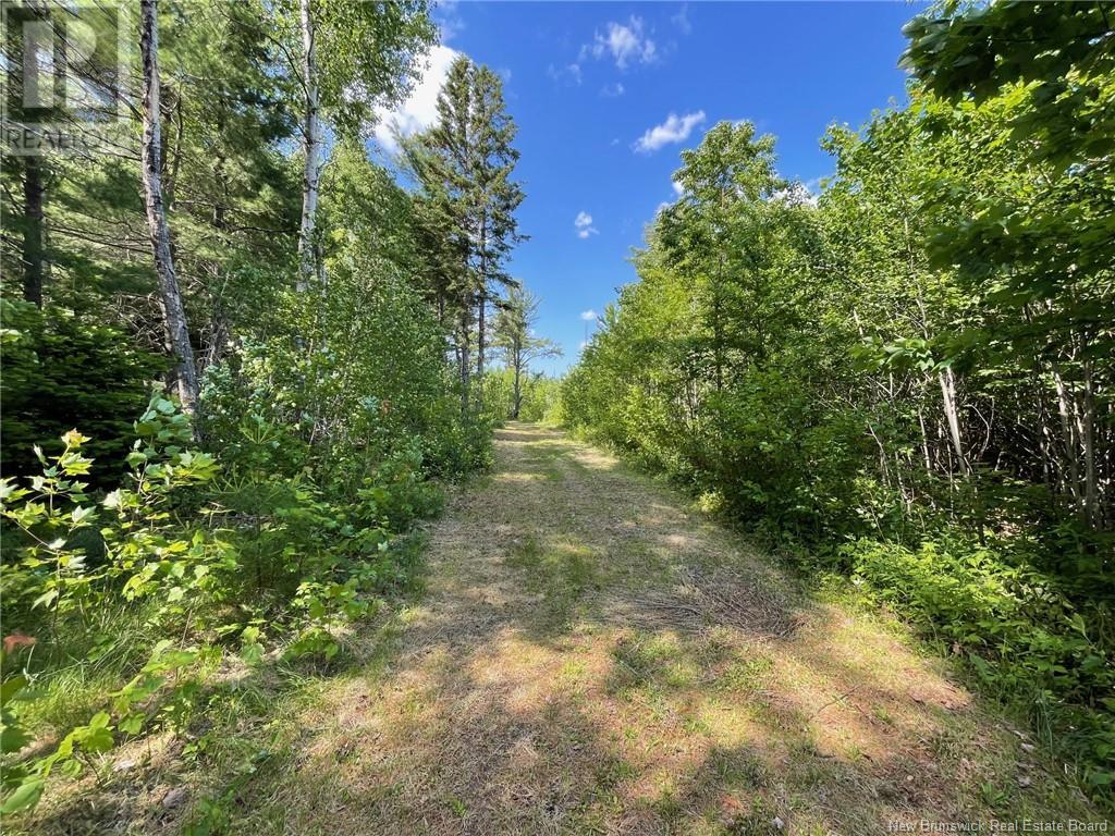 9386 11 Route, Saint Margarets, New Brunswick  E1N 5C5 - Photo 45 - NB120051