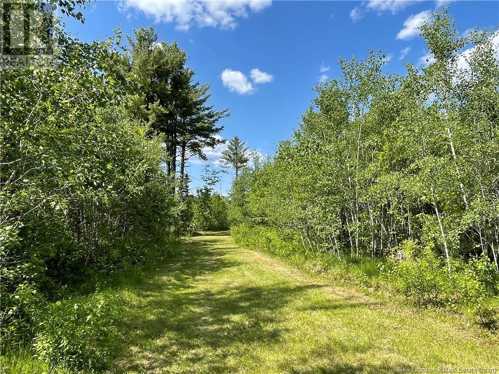 9386 11 Route, Saint Margarets, New Brunswick  E1N 5C5 - Photo 47 - NB120051