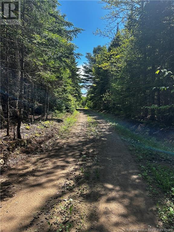 Rte 10, Kierstead Mountain, New Brunswick
