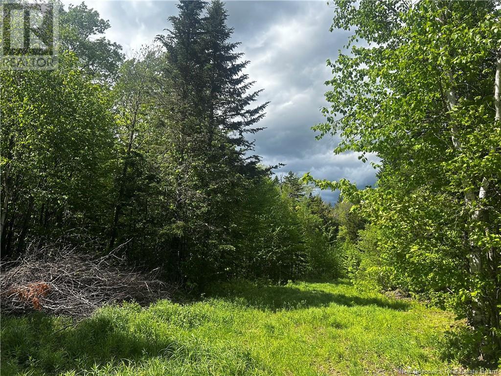 Rte 10, Kierstead Mountain, New Brunswick  E5P 1T8 - Photo 11 - NB120863