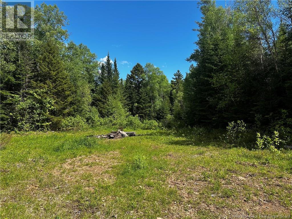 Rte 10, Kierstead Mountain, New Brunswick  E5P 1T8 - Photo 5 - NB120863